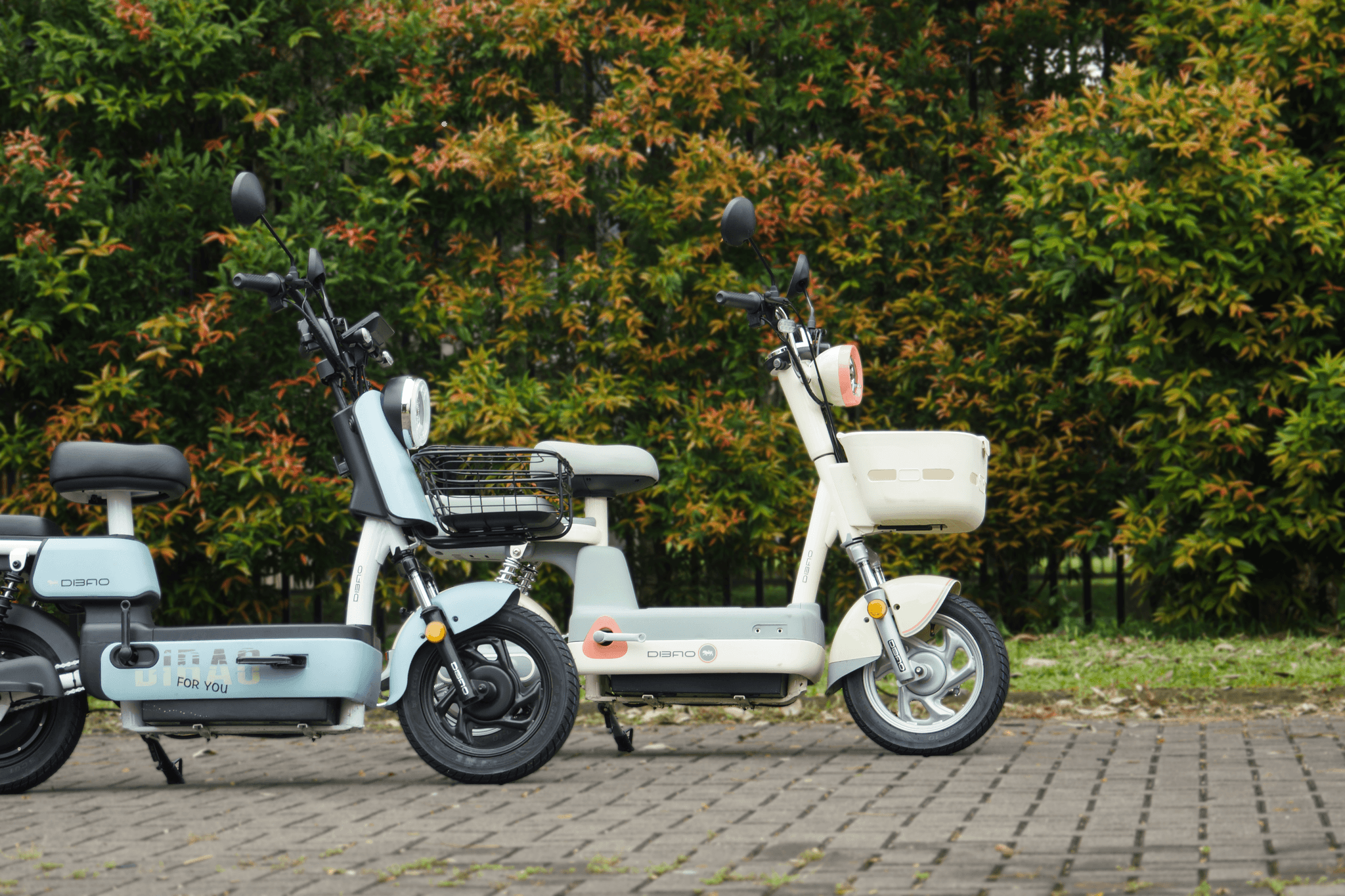 dibao ecart series