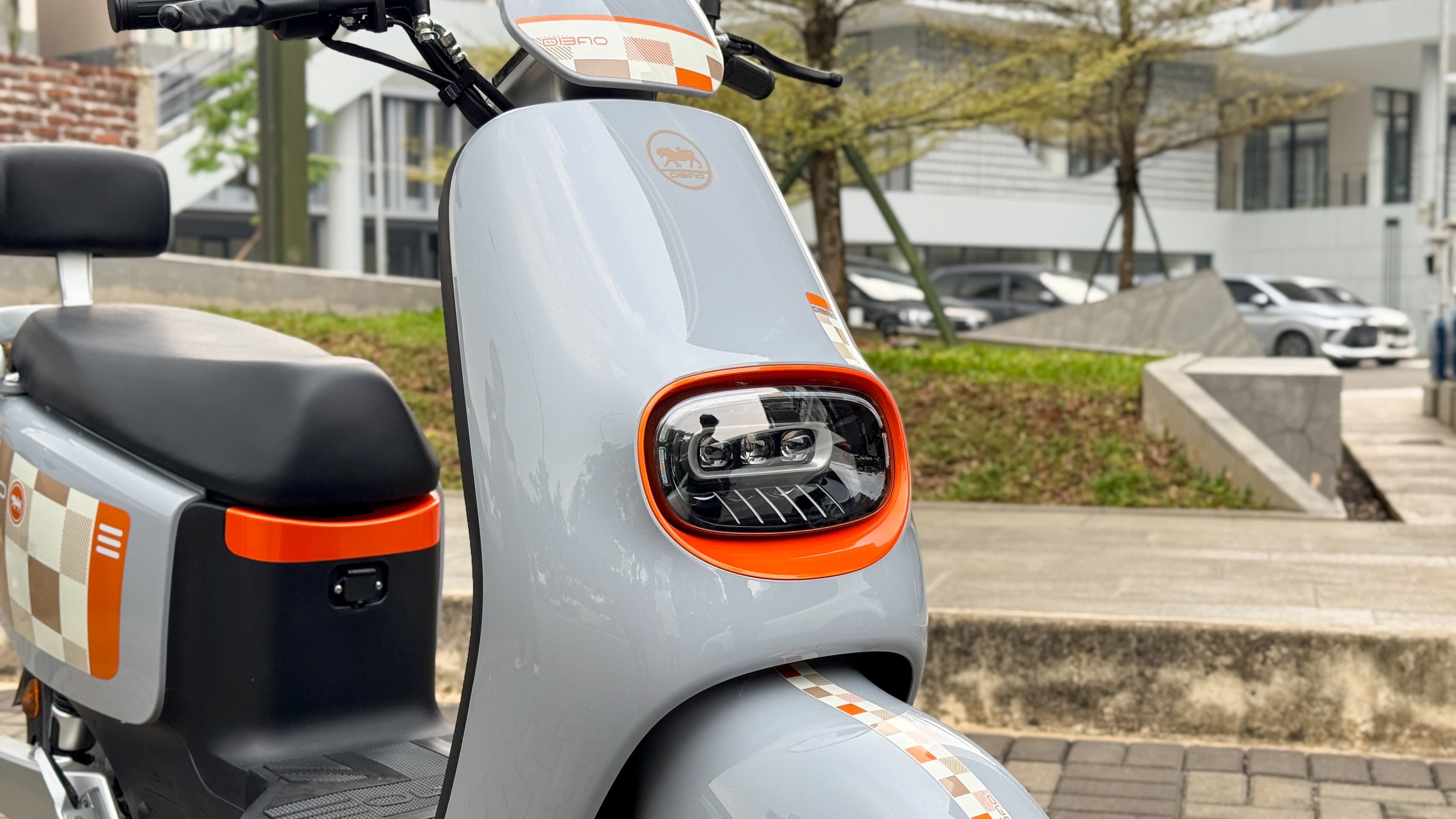 dibao dolfin front
