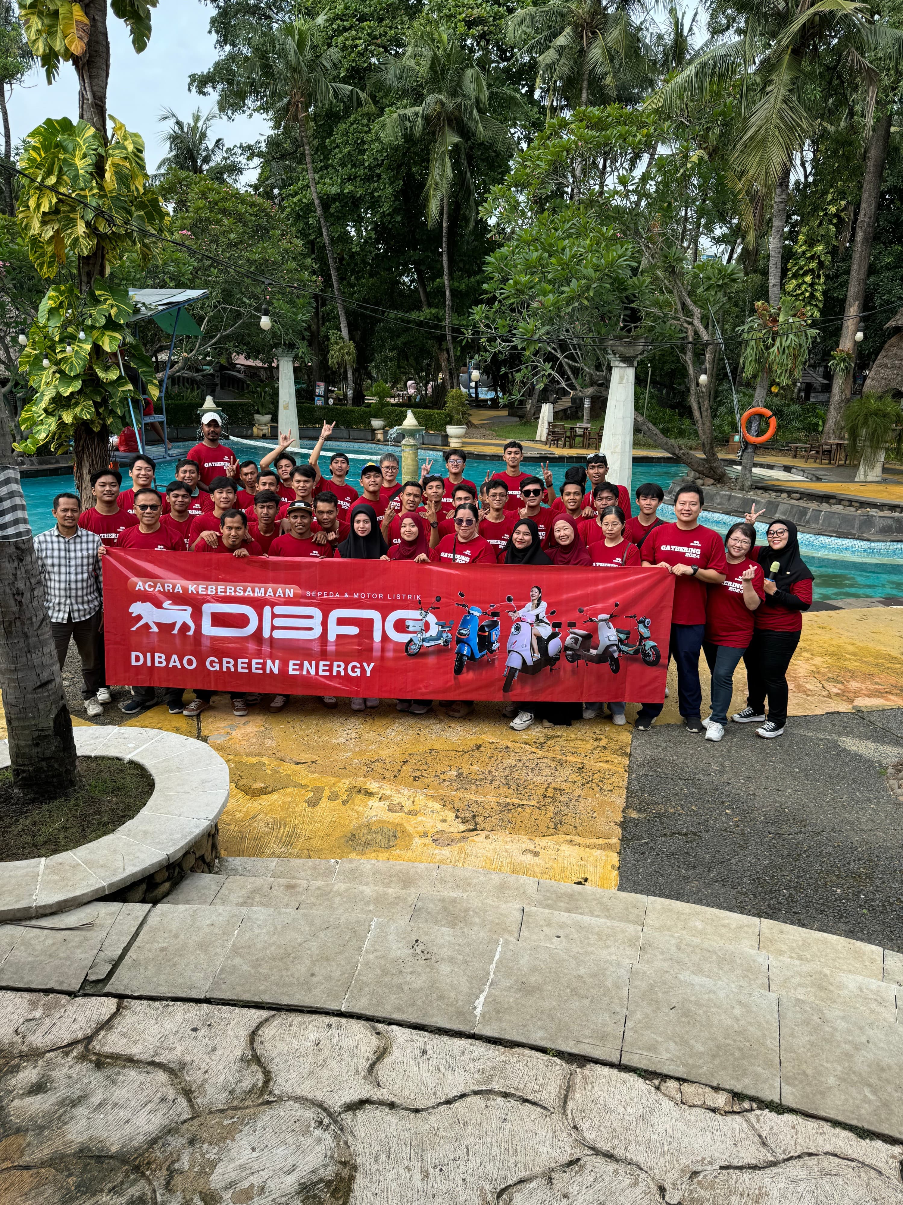dibao new energy and motor listrik dibao