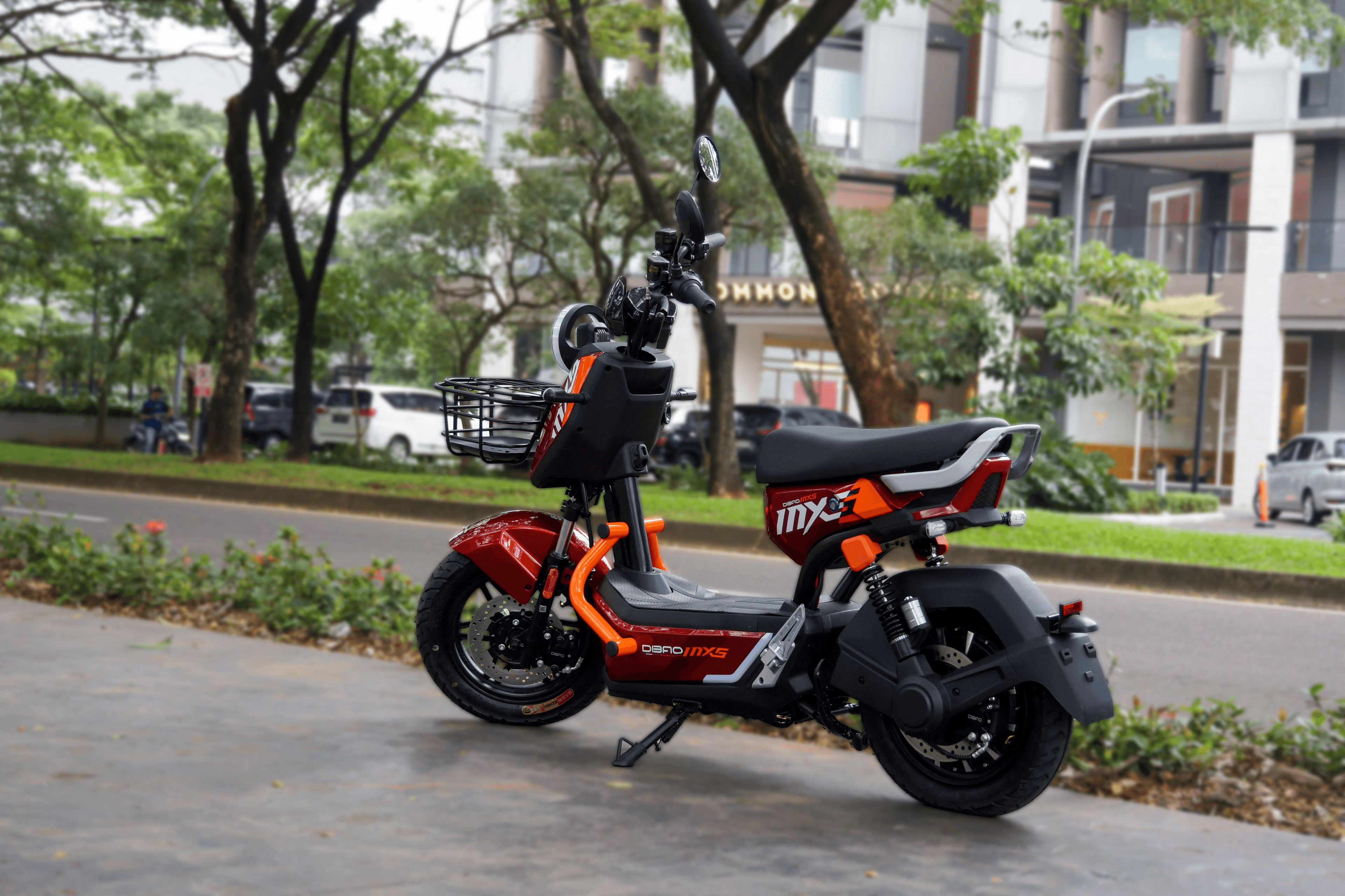 dibao panthera